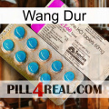 Hard Wang new07